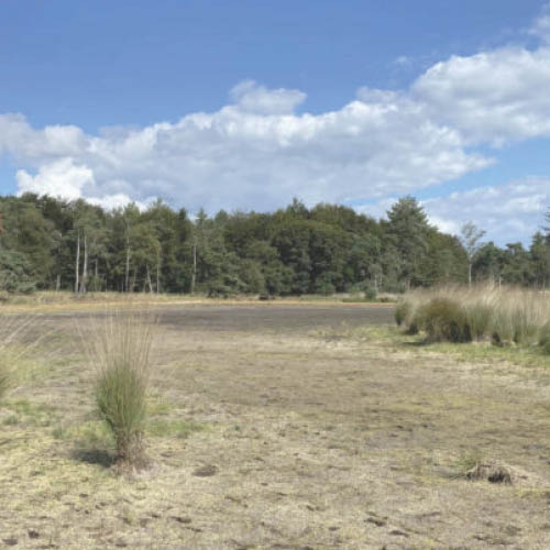 Verdroging tegengaan met evenwichtig (grond)watersysteem