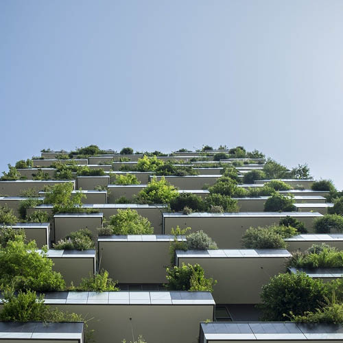 Klimaatadaptatie: 3 x Zo vergroen je jouw balkon