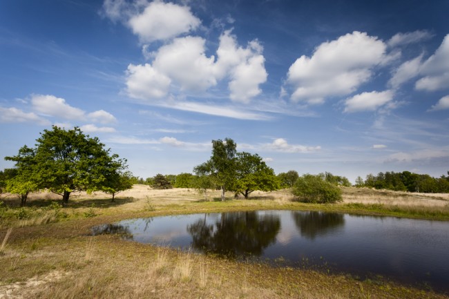 Brede inzet om Brabantse grondwatervoorraad te verbeteren