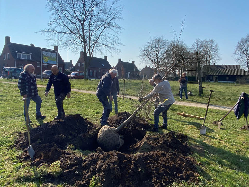 Milieuvereniging Land van Cuijk plant 17 bomen met steun van BMF Activiteitenfonds