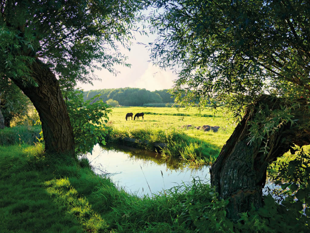 Minister Van der Wal ontvangt Aanvalsplan Landschap enthousiast