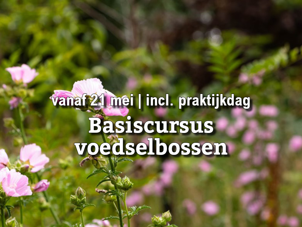 Vanaf 21 mei | Basiscursus voedselbossen incl. praktijkdag