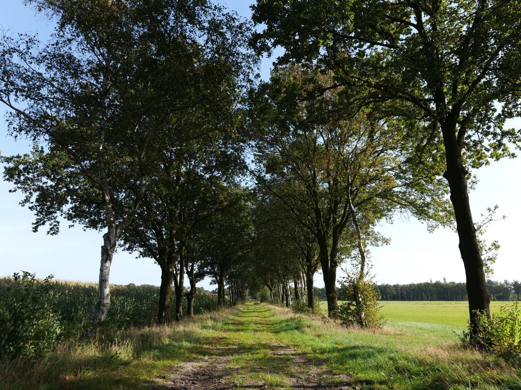 10 meestgestelde vragen over zandpaden
