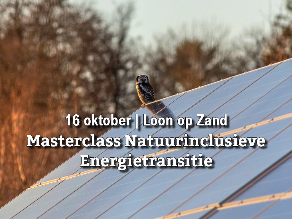 16 oktober | Masterclass Natuurinclusieve Energietransitie