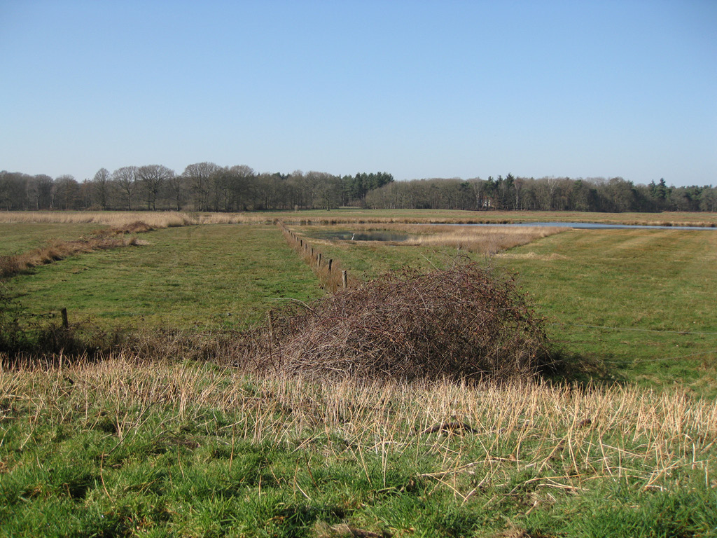 Tussenuitspraak uitbreiding drinkwaterwinning Gilzerbaan