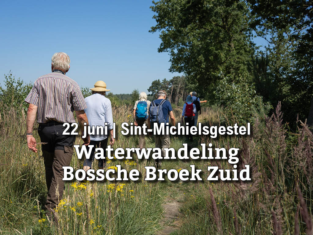 22 juni | Waterwandeling Bossche Broek Zuid