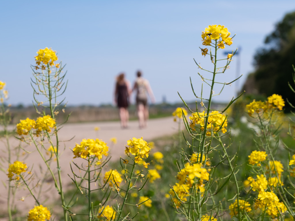 Maak nú scherpe keuzes voor de toekomst van Brabant: reactie BMF op Perspectiefnota 2025