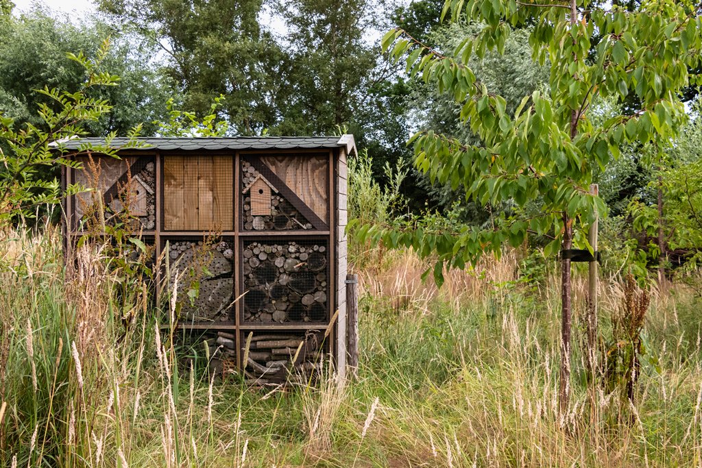 Koepelplan Voedselbossen Brabant krijgt vervolg