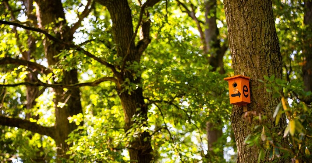 Een gezonde leefomgeving? Jouw stem doet ertoe!