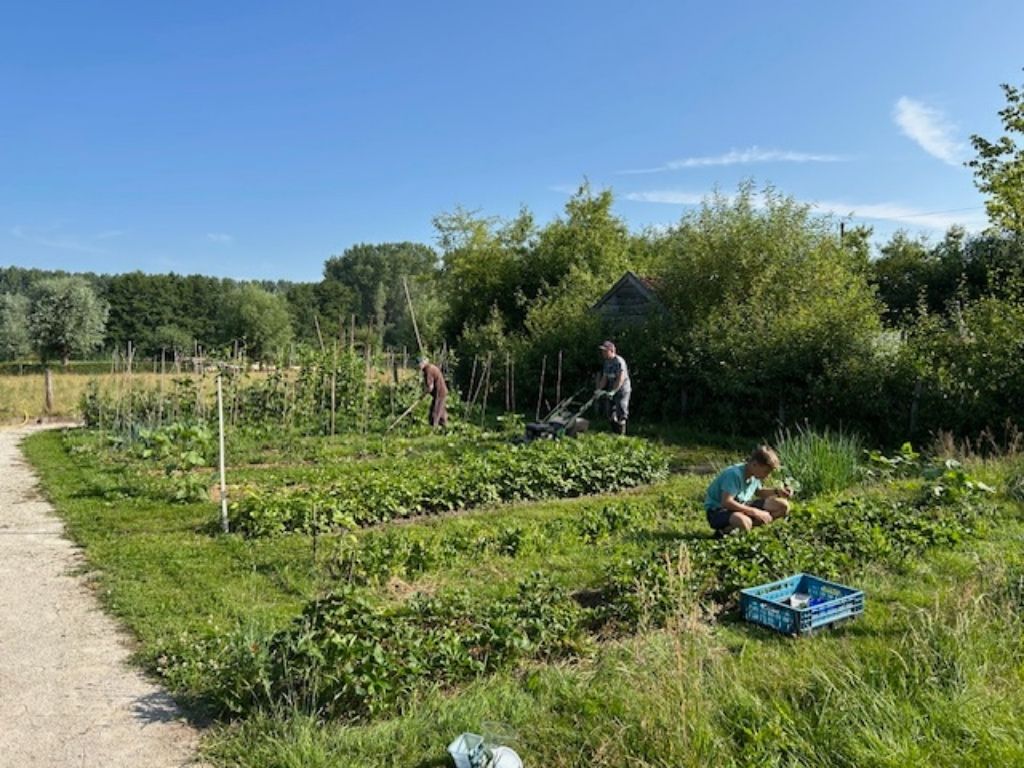 Opening moestuin van Schaapskooi Schijndel met steun van het BMF activiteitenfonds