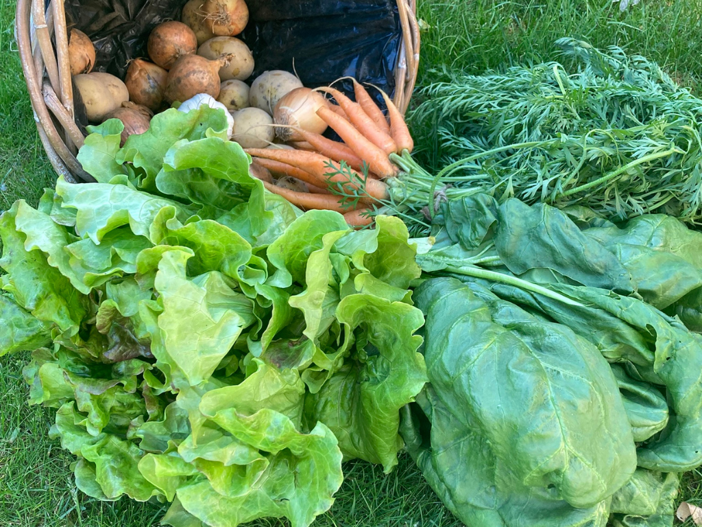 Elke dag vakantiegevoel met lokale, lekkere en gezonde groenten
