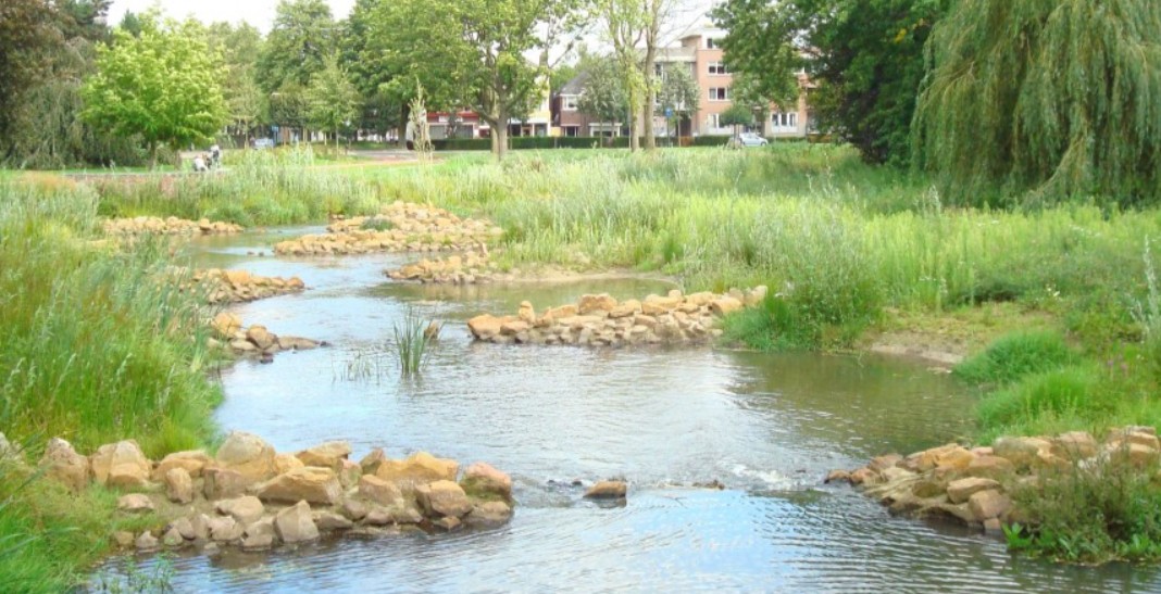 24 juni | Waterwandeling Voorste Stroom Oisterwijk