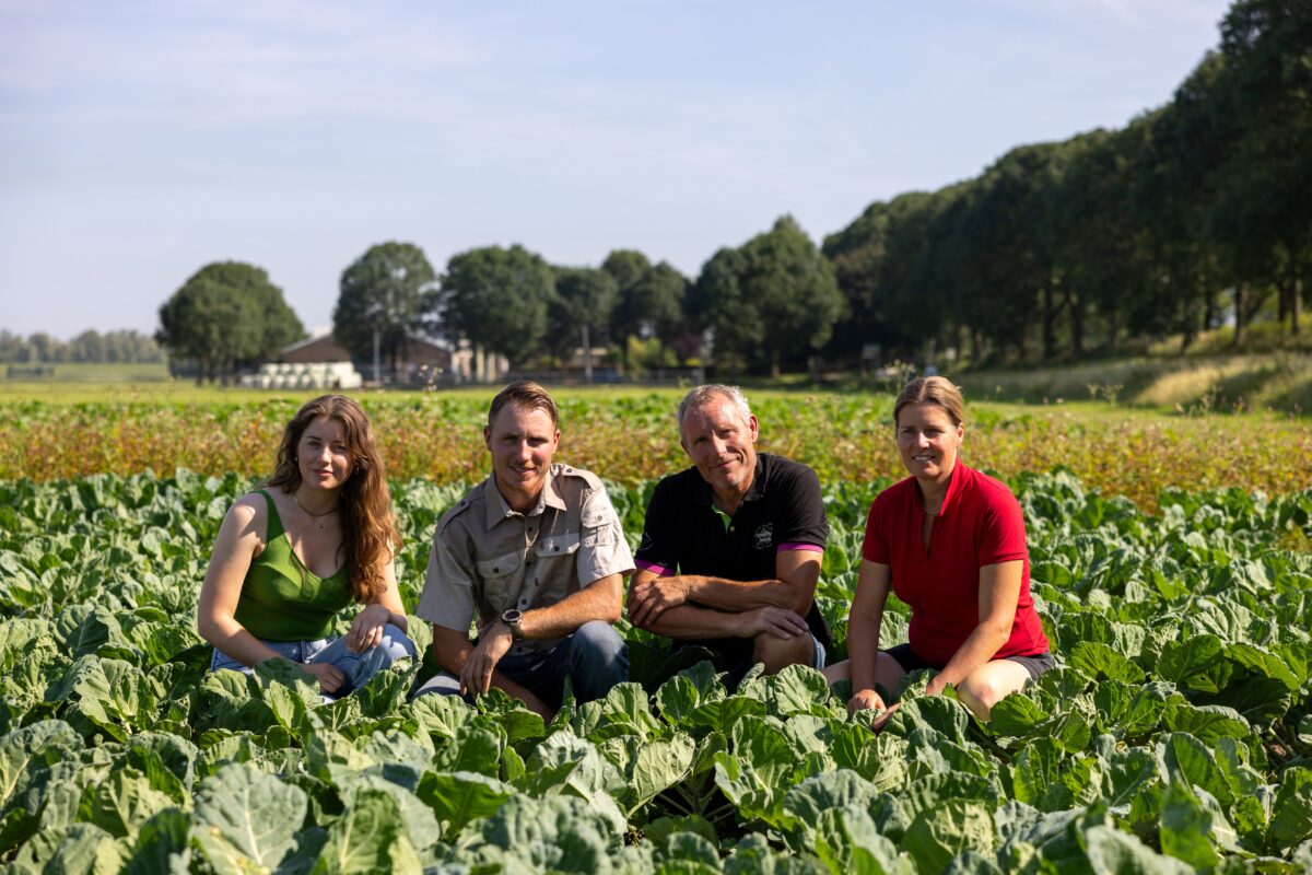 30 aug | Boer zoekt Buur De Zwaluw: superleuke workshops!