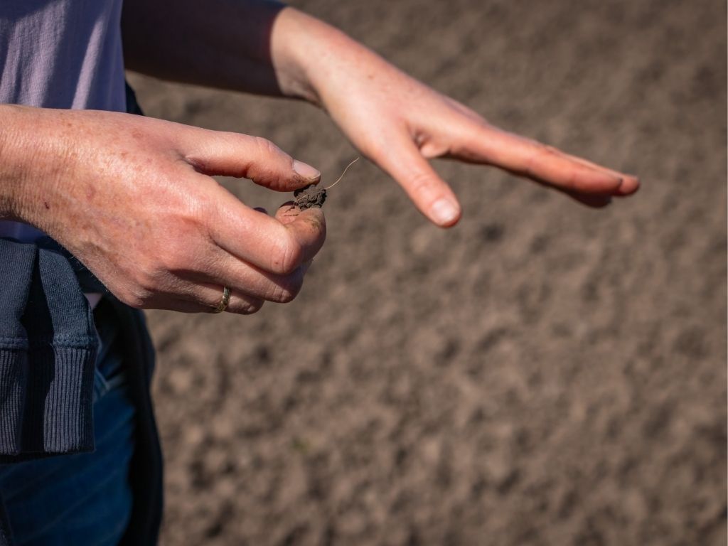 Lokale initiatieven groeien uit tot landelijke verandering: Impactverslag Natuur en Milieufederaties 2025