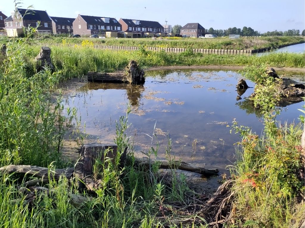 29 okt | BMF-lezing 2026: Zo maken we Brabant klimaatproof met de natuur als bondgenoot