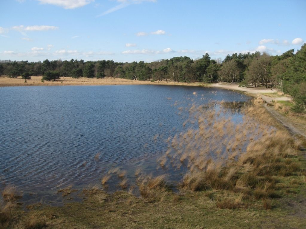 Akkerbouwer naast natuurgebied Kempenland-West mag geen bestrijdingsmiddelen gebruiken