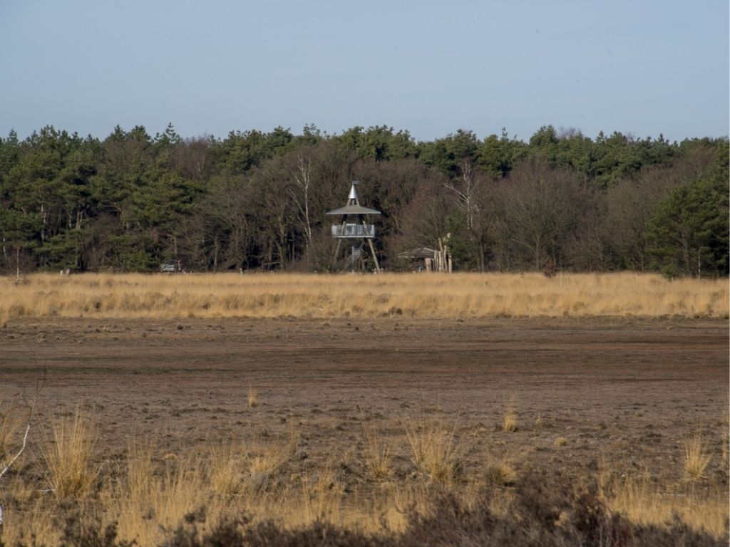 Grote zorg over de droogte van de natuur – natuurorganisaties doen oproep tot extra maatregelen