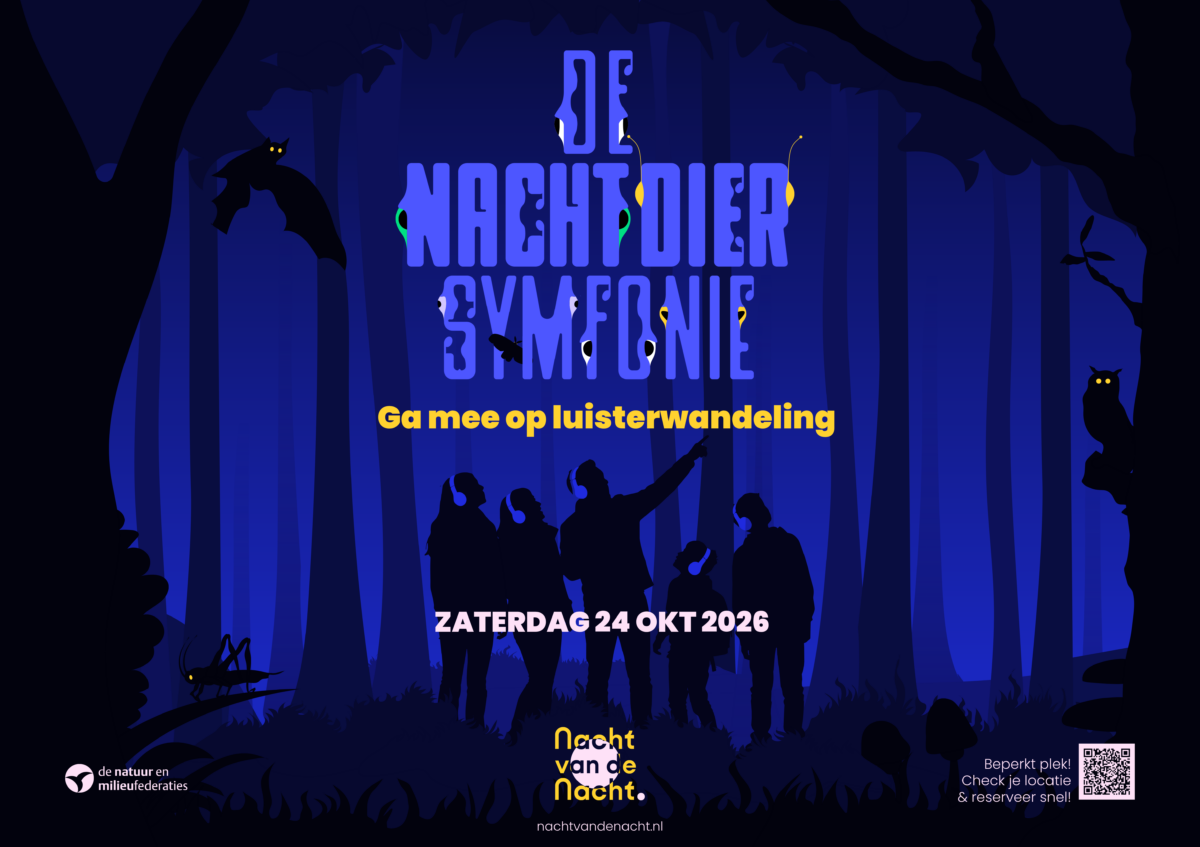 24 oktober | Nachtdiersymfonie, nachtfilm en nog veel meer
